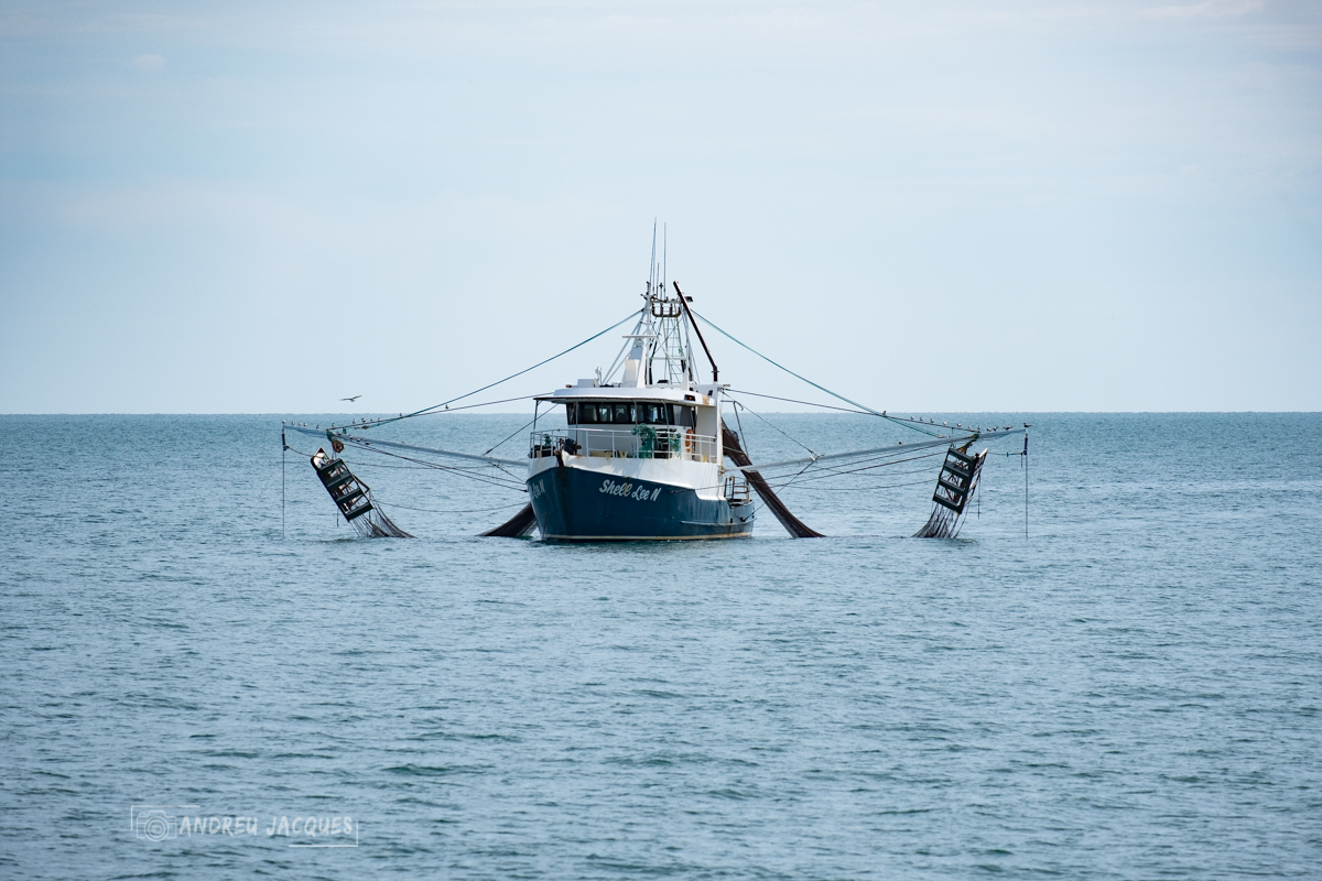 australie 2018-78.jpg